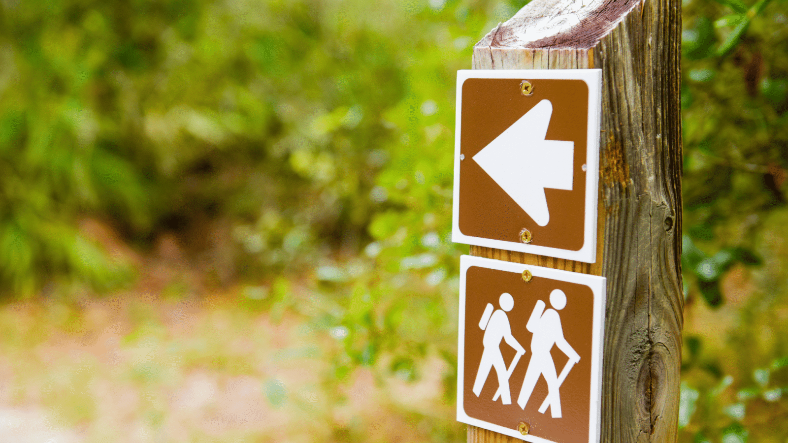 Hikers exploring a red rock canyon on an outdoor adventure in the US
