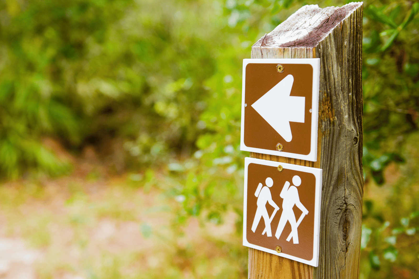 Best Outdoor Adventures in the US: 25 Experiences to Add to Your Bucket List